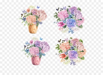 Hydrangea petiolaris Flower Blossom Illustration - Vector potted flowers bouquet 
