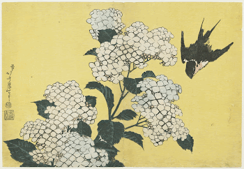Hydrangeas and Swallow (ca.1833&ndash;1834) in high | Free Photo - rawpixel
