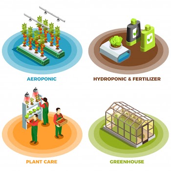 Hydroponic and aeroponic 2x2 design concept Free Vector