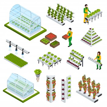 Hydroponics icons set Free Vector