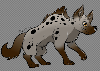 Hyena Transparent Image