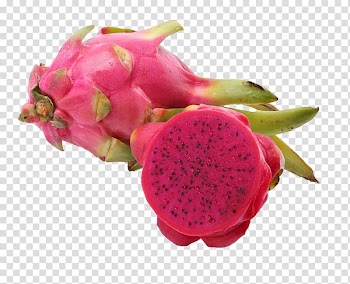 Hylocereus undatus Pitaya White Auglis Commerce, Red heart dragon fruit transparent background PNG clipart