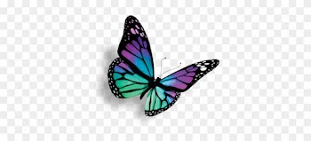 Hypnomorphose Ausbildung - Heal Breast Cancer Naturally 7 Essential Steps