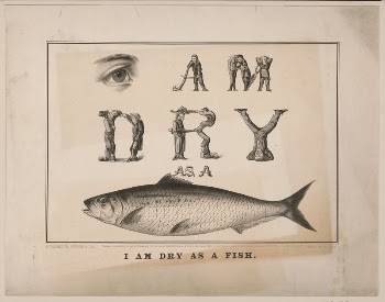 I am dry as a fish | Free Photo - rawpixel