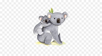 I Dont Like Koala Bear Illustration - Hand-painted Koala 