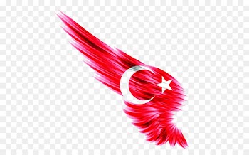 I Duvarkapla.co | Wall paper Flag of Turkey Ottoman Empire Istanbul - Red Wings 