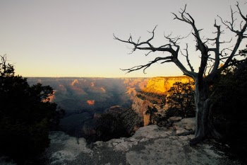 I found these pictures to be a unique view of the Grand Canyon.