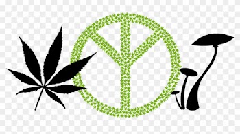 I Have Studied Permaculture Extensively, And I Am Currently - Cannabis Plant Leaf Set Of 4 Temporary Tattoos (lasts
