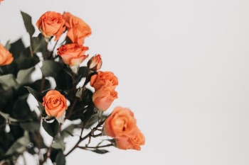 I love elegant and minimal images, and I am inspired by like-minded feeds on Instagram. Also, I love anything that involves florals. Every week I purchase flowers from Trader Joes and practice my photography skills shooting them. Usually, I incorporate props from around the home. They can be anything simple from a piece of fabric or little plates I’ve gathered etc.  To shoot the images I generally style the items I’ll be using in front/on some foam board. Also,  natural light is a must!