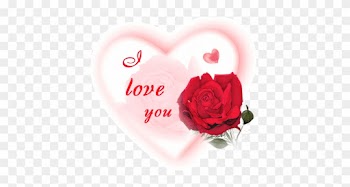 I Love You Heart Glitter - Rose With I Love U