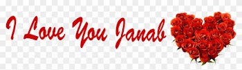 I Love You Janab Rose Png - Love You Jaan With Roses