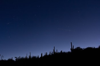 I recently took a roadtrip through New Mexico and Arizona. This shot was taken in Colossal Cave State Park outside of Tucson after I'd pitched my tent for the night. I was absolutely entranced by the giant Saguaro cactus that litter the landscape. I think this shot captures some of the magic that I felt being there.

30 seconds is the longest shutter speed on my [very old] camera, but there was just enough light coming over the horizon to keep the ISO relatively low for this shot.