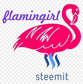I Show You A Pink Flamingo, Their Natural Color, Impressive, - Flamingos