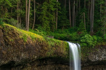 I took this after hiking down to the bottom of this almost 200-foot waterfall in Marion County, Oregon. I wanted to capture the awesome rock shelf and the wild flowers blooming on its ledge, along with that beautiful old-growth forest in the background. 