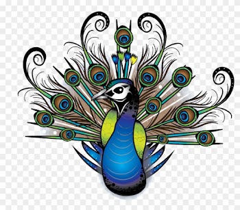 I Wanted To Create An Illustration That Took Inspiration - Peafowl
