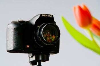 I was taking some photos of a bouquet of tulips that my wife had arranged in the living room. By passing in front of the camera, I saw the reflection of the tulips on the lens’ filter. I took my other camera and that’s how this photo was made.
