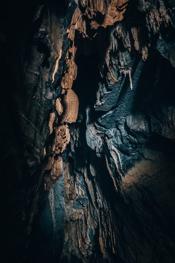 I was travelling across Vietnam for a month in 2018. While trekking through a jungle, I came across a cave with a narrow opening and I went in until there was no more light. This is the last bit of the cave that was lit up. after this, it was pure darkness.