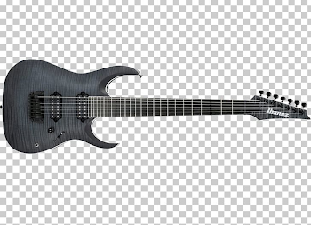 Ibanez Iron Label RGAIX6FM Electric Guitar Ibanez RG Seven-string ...