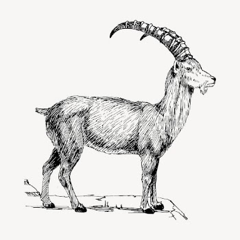 Ibex clipart, vintage animal illustration | Free Vector - rawpixel