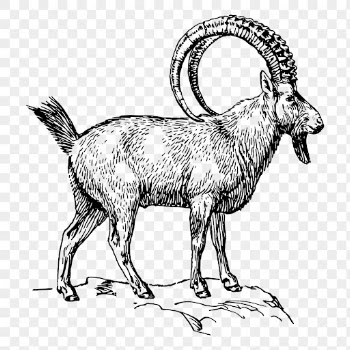 Ibex png clipart, animal hand | Free PNG - rawpixel