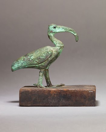 Ibis on a wooden base | Free Photo - rawpixel