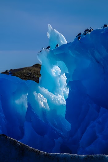 Ice Berg