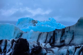 Ice Berg