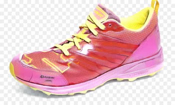 Ice Bug, Shoe, Sports Shoes, Footwear PNG