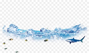 Ice cream Euclidean vector Ice cube - water,Ice,dolphin,fish,Fish,iceberg 