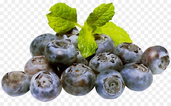 Ice cream European blueberry Flavor Cranberry -  