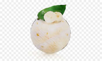 Ice cream Sorbet Commodity Flavor -  