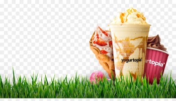 Ice cream Yogurtopia Frozen yogurt Fudge Chocolate brownie - ice cream 