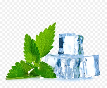 Ice Electronic cigarette aerosol and liquid Mentha spicata Flavor Menthol - Ice,mint 