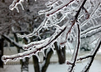 ice_storm_047.jpg