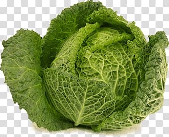 Iceberg lettuce vegetable art, Open Cabbage transparent background PNG clipart