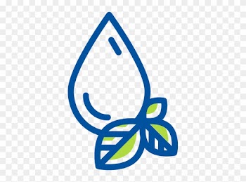 Icn Leaf - Leaf