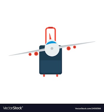 Icon airplane and suitcase travel and vacation vector image
