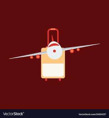 Icon airplane and suitcase travel and vacation vector image