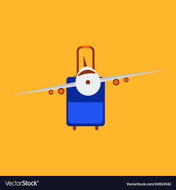 Icon airplane and suitcase travel and vacation vector image