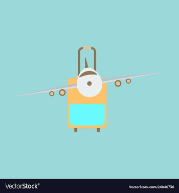Icon airplane and suitcase travel and vacation vector image