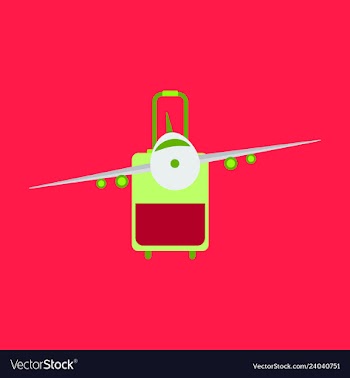 Icon airplane and suitcase travel and vacation vector image