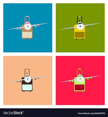 Icon airplane and suitcase travel and vacation vector image