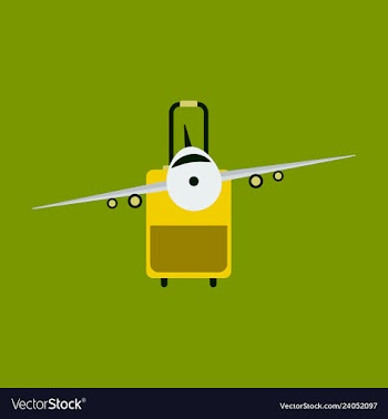 Icon airplane and suitcase travel and vacation vector image