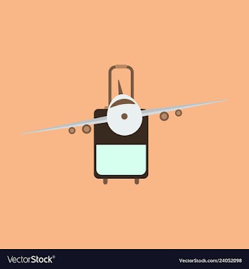 Icon airplane and suitcase travel and vacation vector image