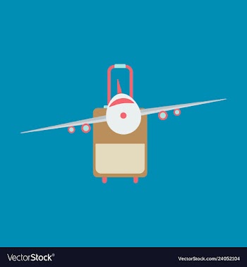 Icon airplane and suitcase travel and vacation vector image