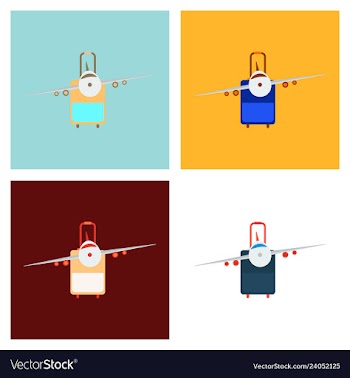Icon airplane and suitcase travel and vacation vector image