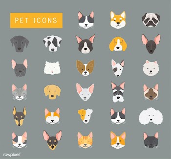 Icon american eskimo animal | Free stock vector - 60550
