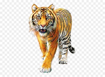Icon - animal 