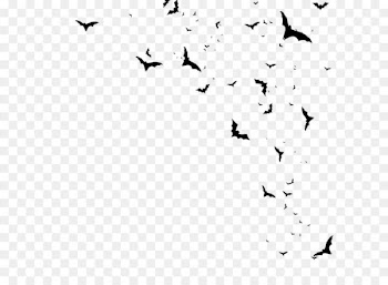 Icon - Bats 