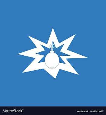 Icon bomb explosion vector image